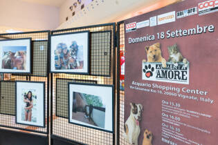 A Vignate premiazione concorso fotografico "eState con loro" - 18 settembre 2016