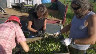 Campi Liberi – 24/30 ottobre 2016