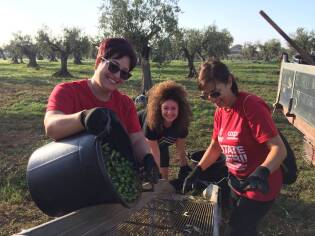 Campi Liberi - 17/23 ottobre 2016 - Corleone