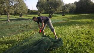 Campi Liberi – 24/30 ottobre 2016