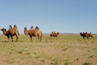 Mongol Rally viaggio ai confini del mondo