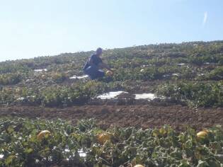 Campi Liberi in Sicilia – 04-10 settembre (28)