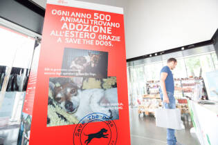 Save the Dogs and other Animals al Gate – 05 luglio 2016