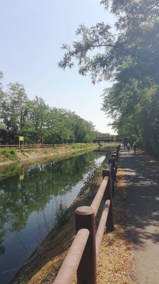 WhatsApp Image 2022-07-16 at 11.53.01