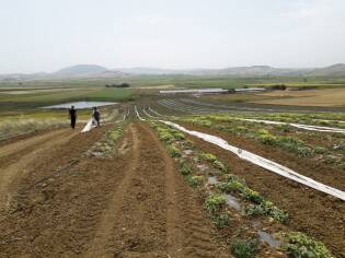 Impegno e formazione dal 10 al 16 giugno a Castelvetrano (3)