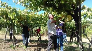 Campi Liberi in Sicilia – 04-10 settembre (16)