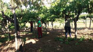 Campi Liberi in Sicilia – 28 agosto 03 settembre (1)