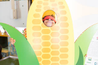 L’Ora Della Cooperazione a Brescia: Giocooperiamo - 28 settembre 2016