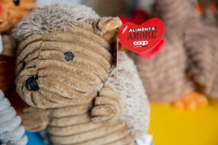 Centinaia di Fortunelli all’ASST di Cremona - 11 luglio 2018