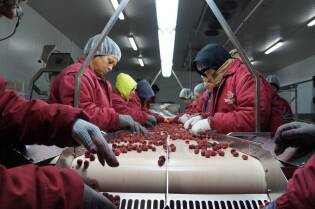 Spomenik, la Jugoslavia che resta (12)