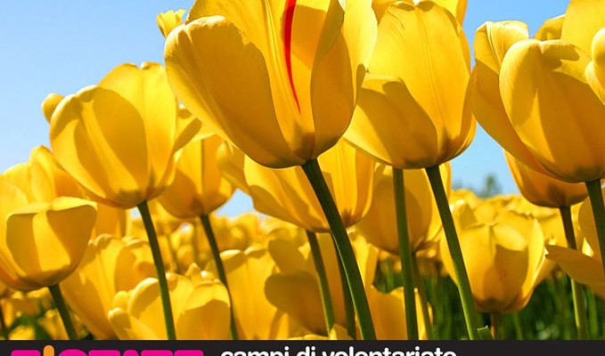 Estate Liberi 2012 - Coop Lombardia