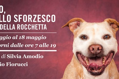 adottami-castello-sforzesco_evento