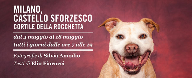 adottami-castello-sforzesco_evento