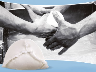 Mozarella di bufala Libera Terra