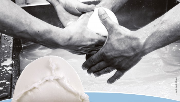 Mozarella di bufala Libera Terra