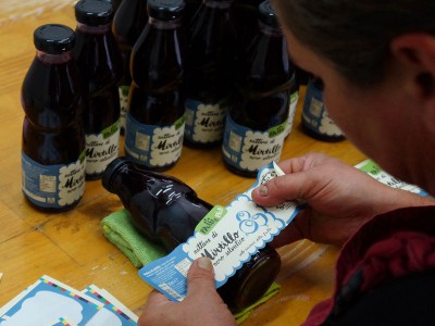 25 novembre 2017: Insieme contro la violenza nei nostri negozi