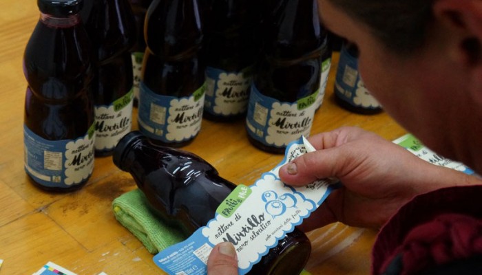 25 novembre 2017: Insieme contro la violenza nei nostri negozi