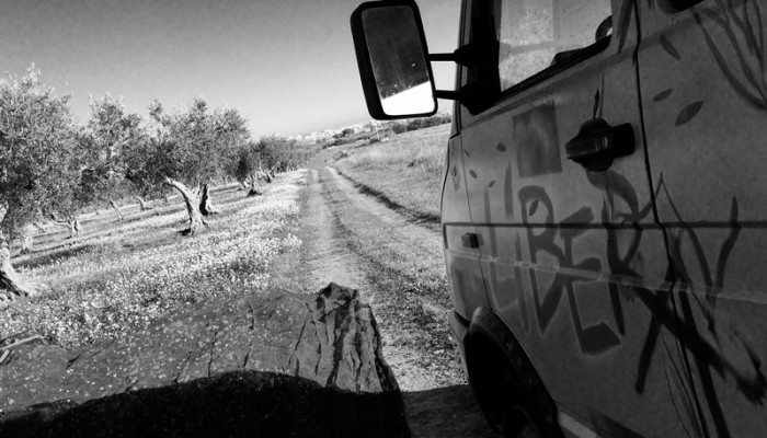 Campi Liberi: i liberi pensieri di Enrico