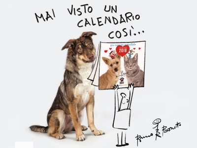 Vieni a scoprire il nuovo calendario di Alimenta l’Amore!