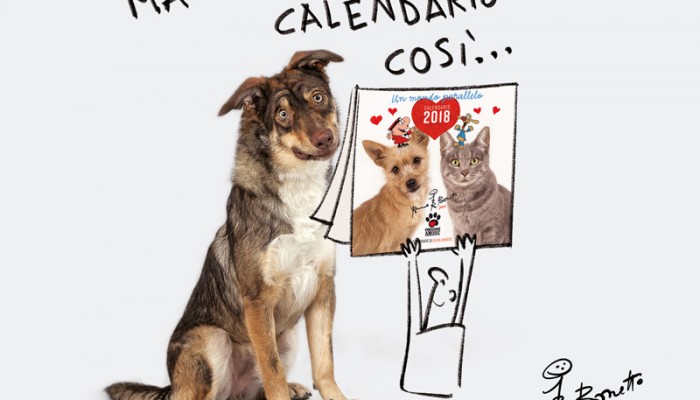 Vieni a scoprire il nuovo calendario di Alimenta l’Amore!