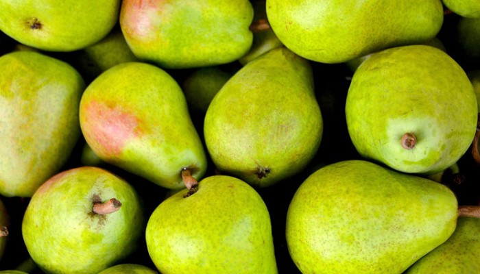 La nuova normativa sui sacchetti per ortofrutta