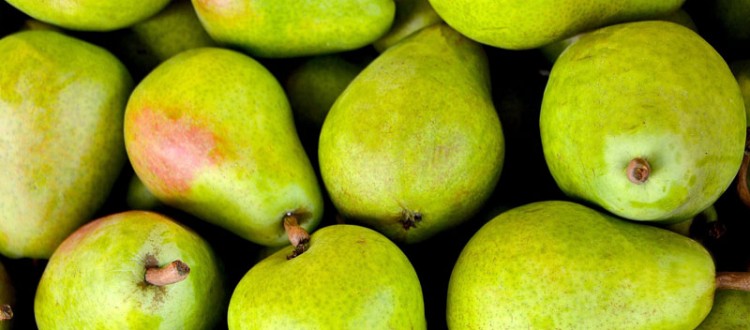 La nuova normativa sui sacchetti per ortofrutta