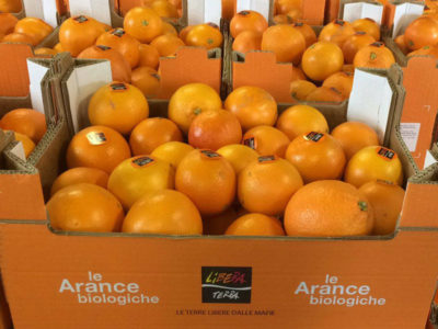 Dal 3 febbraio una spremuta di g(i)usto con Libera Terra