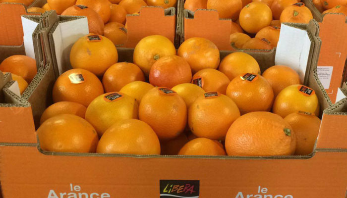 Dal 3 febbraio una spremuta di g(i)usto con Libera Terra