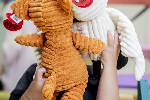 I Fortunelli arrivano all’ICAM per regalare nuovi sorrisi