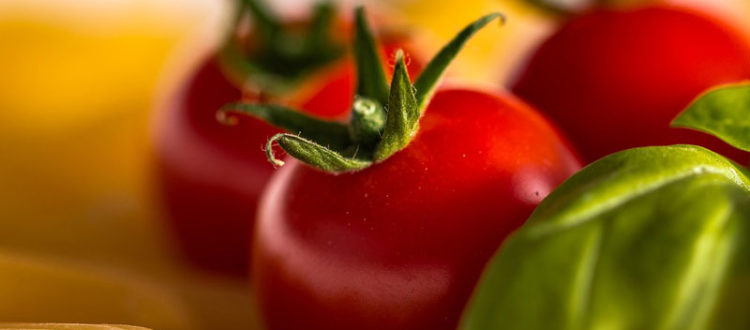 La Pastasciutta Antifascista di Casa Cervi edizione 2018