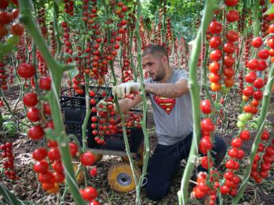 Buoni e giusti: scegli i frutti della legalità