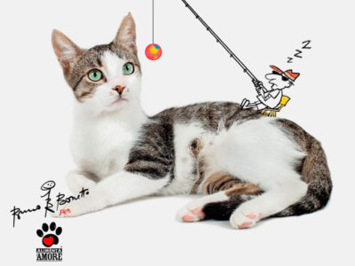 Quasi Fratelli: conferenza stampa all'Urban Center Milano