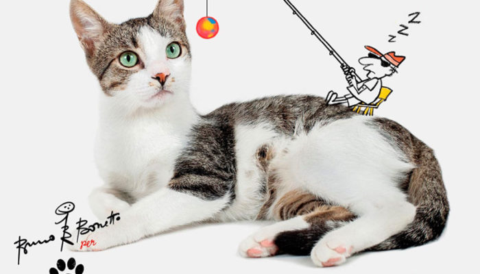 Quasi Fratelli: conferenza stampa all'Urban Center Milano