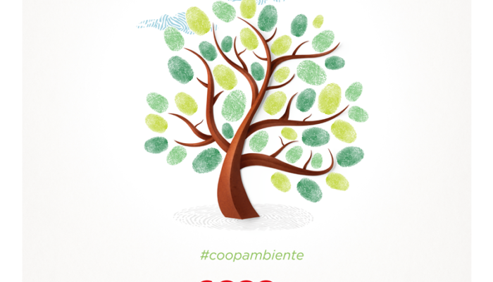 Stop alle plastiche monouso: ecco cosa succederà