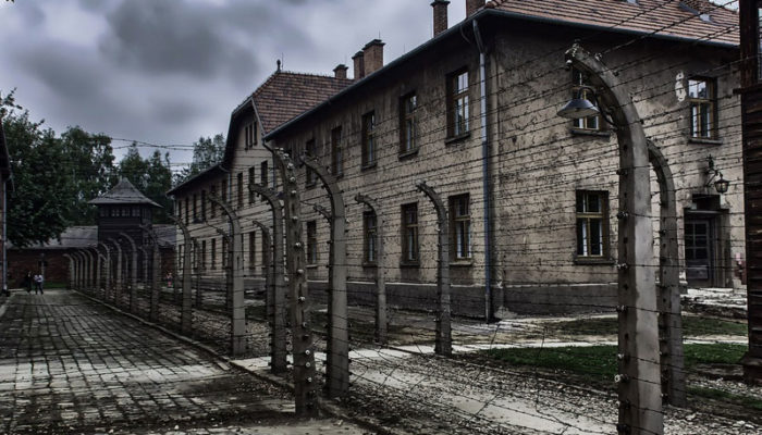 Giornata della Memoria 2019: gli eventi per non dimenticare