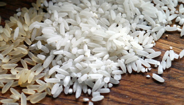 Agricoltura e ambiente: parliamo di riso!