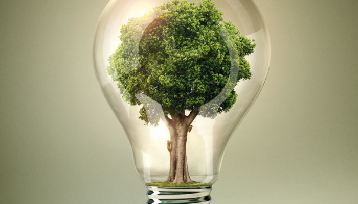 M’illumino di meno: il 