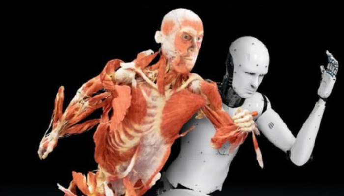 Nuova Real Bodies: oltre il corpo umano