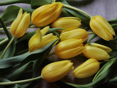 Consumatori: ecco un'anteprima del numero di maggio