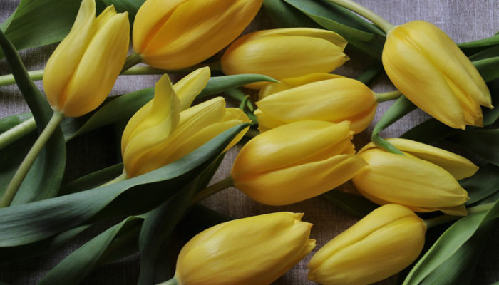 Consumatori: ecco un'anteprima del numero di maggio