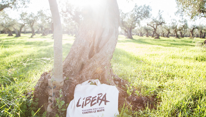 E!State Liberi! partecipa ai campi di impegno e formazione