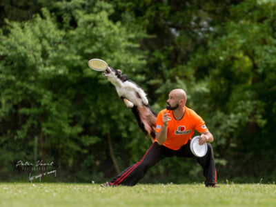 Varese a 4 zampe il divertimento ha un cuore grande