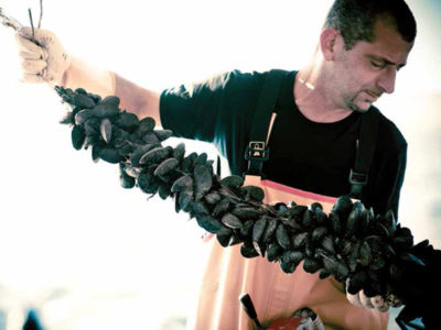 Prodotti Coop: cozze Fiorfiore dal mare di Sardegna