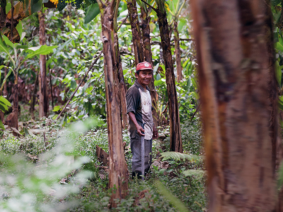 Aiutiamo l'Amazzonia sostenendo le comunità locali