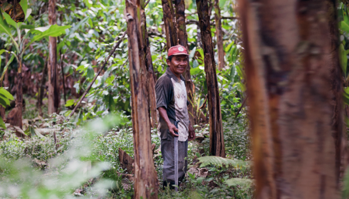 Aiutiamo l'Amazzonia sostenendo le comunità locali
