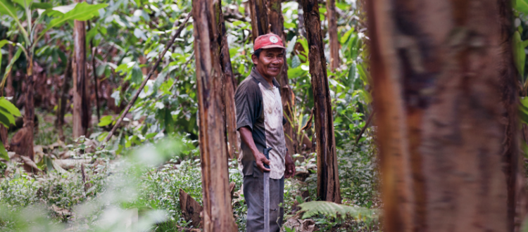Aiutiamo l'Amazzonia sostenendo le comunità locali