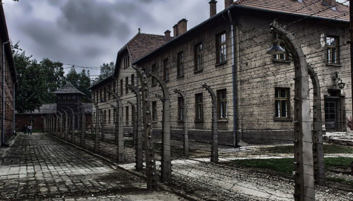 Giornata della Memoria gli eventi per ricordare