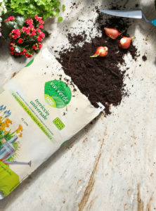 Giardinaggio mania: come organizzare terrazzi e giardini