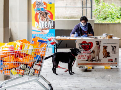 La solidarietà di Alimenta l'Amore non si ferma
