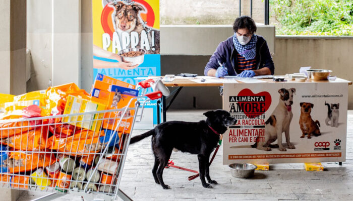 La solidarietà di Alimenta l'Amore non si ferma